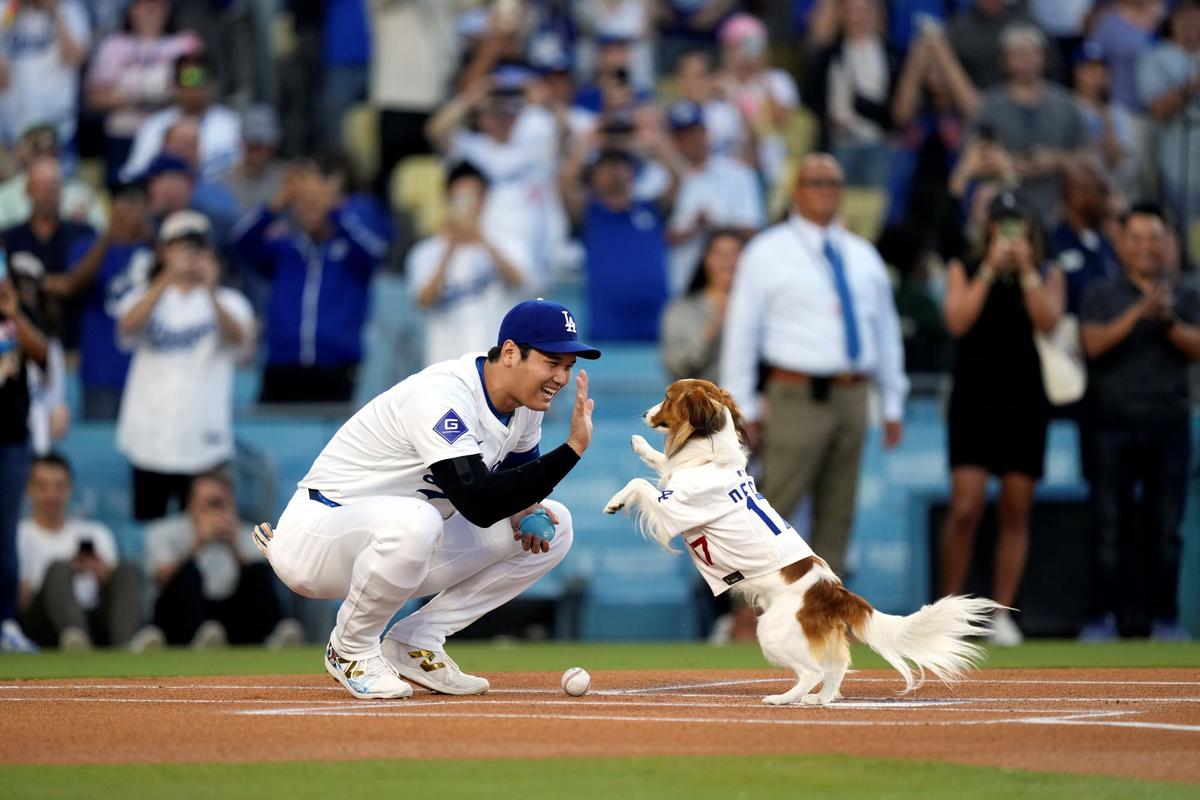 Ohtani Stars on Bobblehead Night, Hernandez Homers in Dodgers’ Win Over Orioles