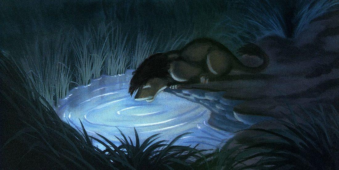 Simba sees his grown-up self as he looks in a pond, in "The Lion King." (Walt Disney Feature Animation)