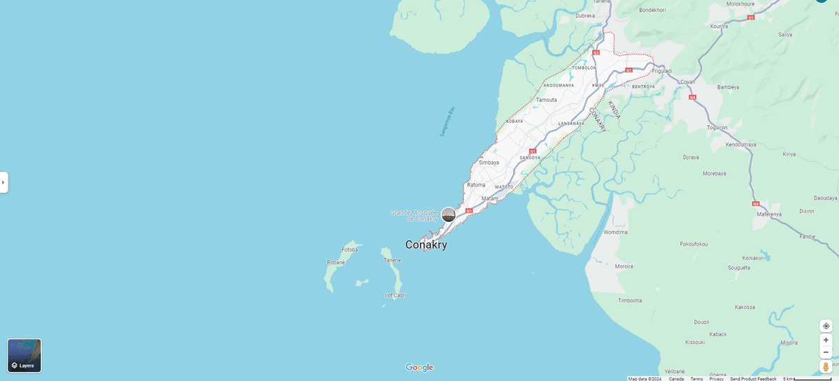 Gunfire Erupts Near Guinea’s Presidential Palace and the Military Locks Down the Area