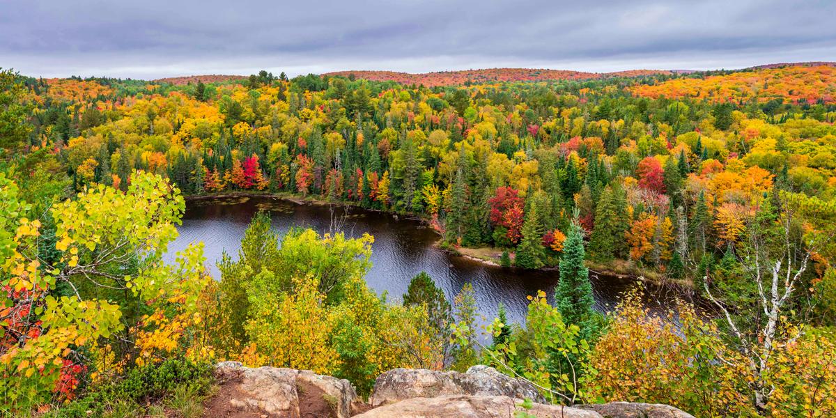 Prime Spots to Catch the Fall Colours in Ontario