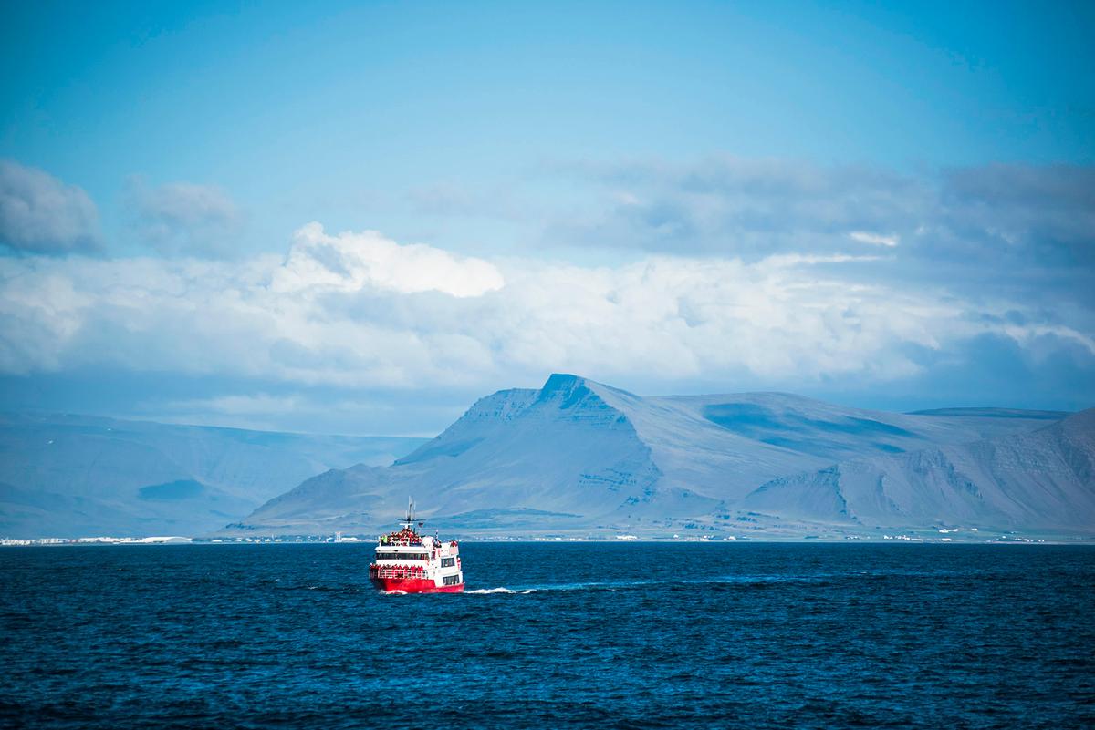 A whale-watching boat near the shores of Reykjavik. The surrounding waters provide many opportunities to spot wildlife. (Matthew Williams-Ellis/Getty Images)