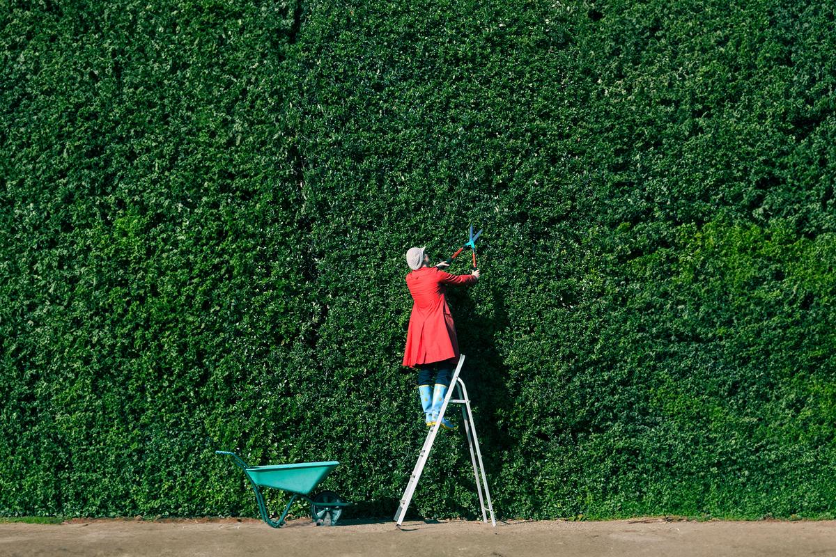 Is Perfectionism a Symptom of Underlying Illness?