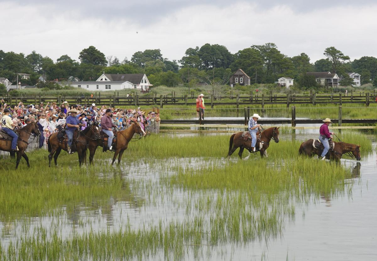 Mother-Daughter Duo Wins 3 Journalism Awards for Chincoteague Pony Feature