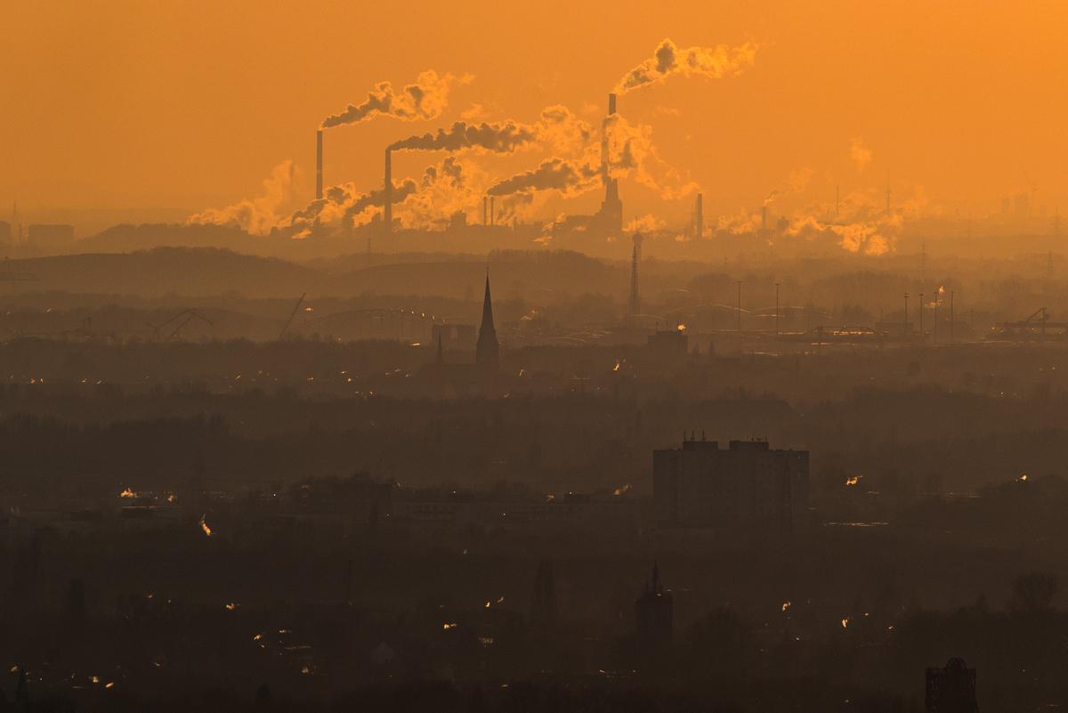 Feel-Good Environmental Regulations Won’t Save the Planet, but They Do Harm Consumers