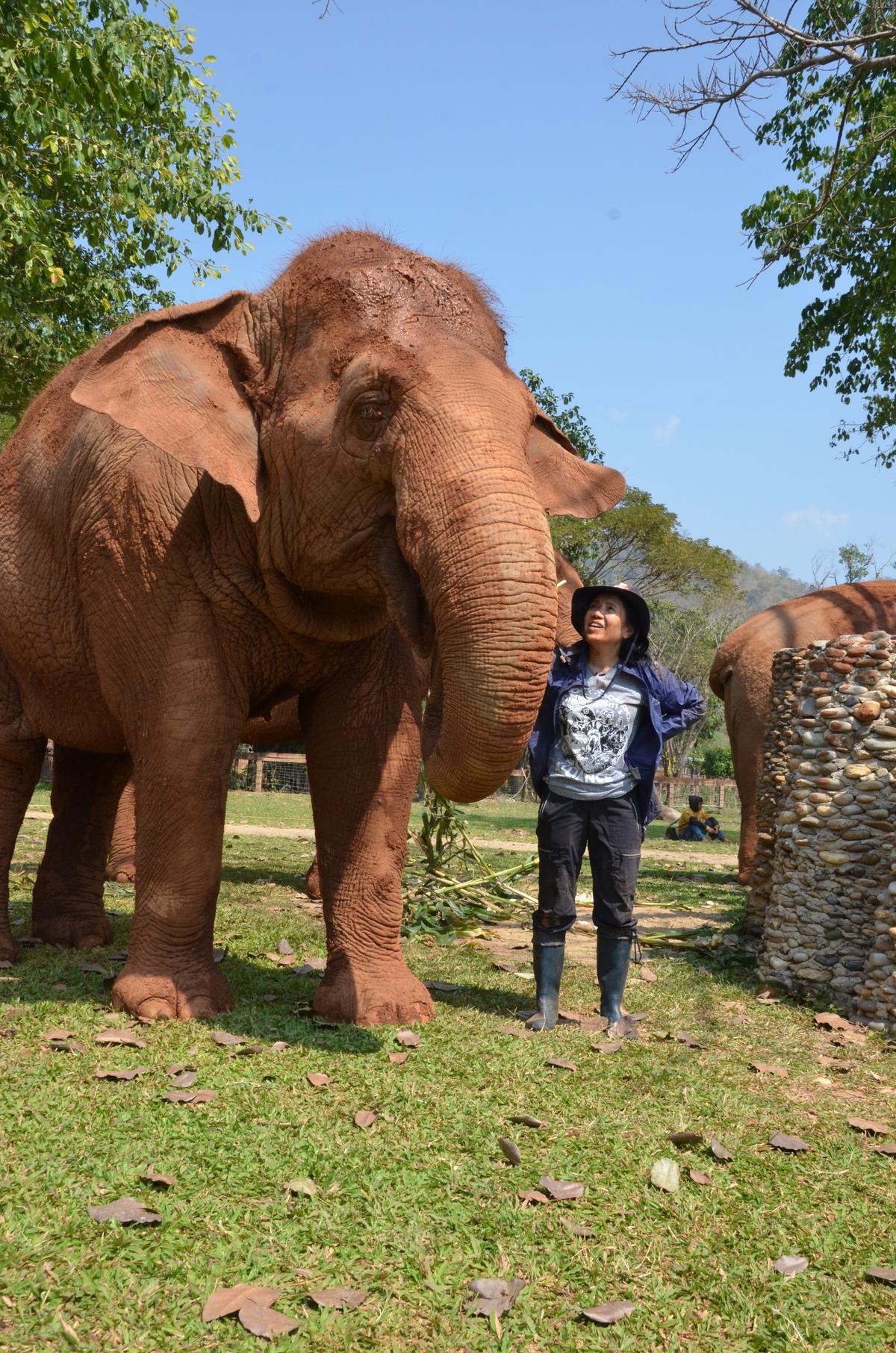 Khun Lek's childhood passion for elephants has resulted in a world-famous park. (Kevin Revolinski)