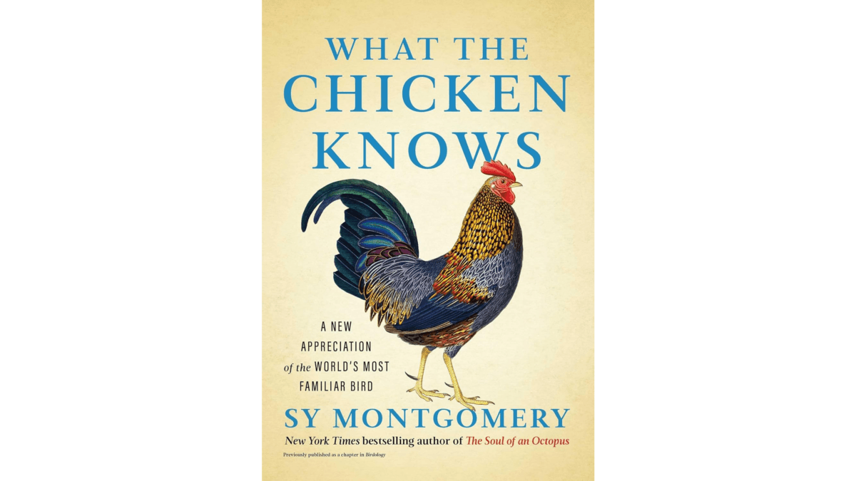 "What the Chicken Knows: A New Appreciation of the World's Most Familiar Bird" by Sy Montgomery is a delightful read on the chicken.