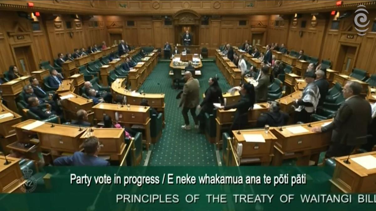 Māori MPs Suspended From Parliament After Performing Viral Haka Protest