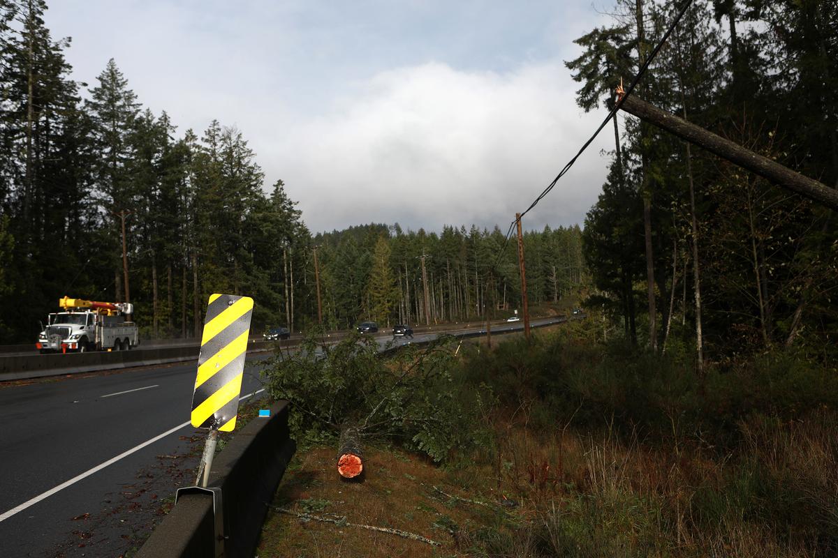 New BC Storm Brings 100 Km/h Winds With Some Vancouver Island Homes Still in Dark