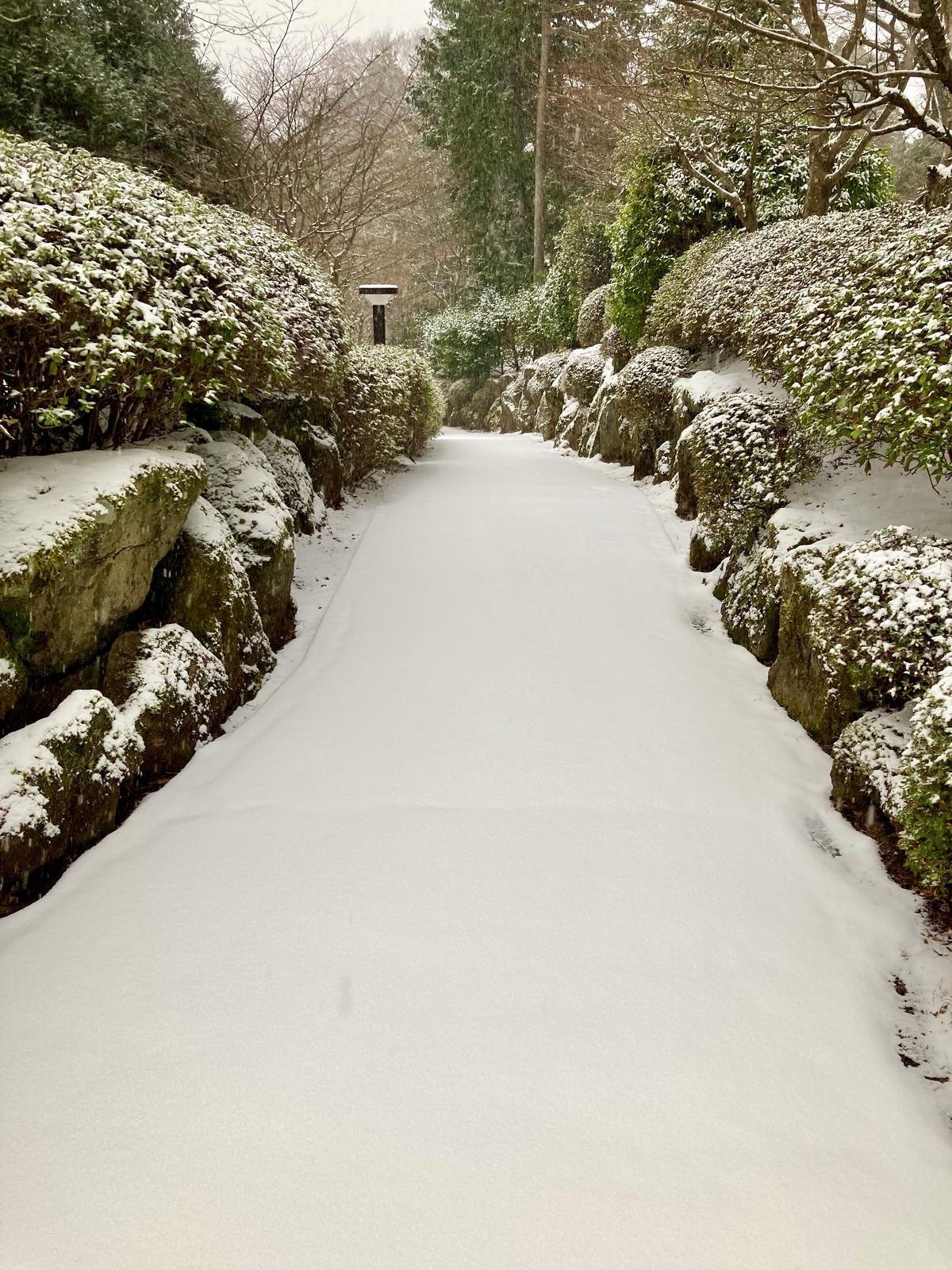 Ice-Melting Products for the Landscape