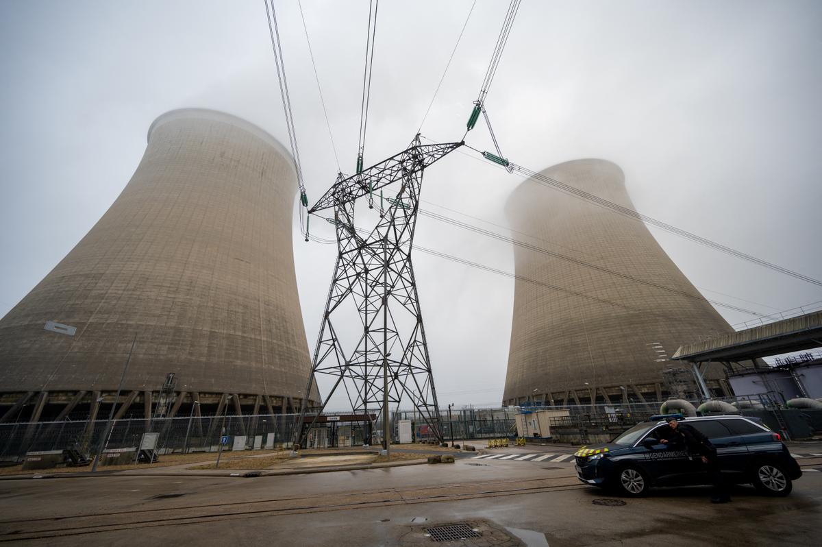 Nuclear Cost Blowouts Caused 25 Percent Energy Price Hike in Georgia: Energy Consultant