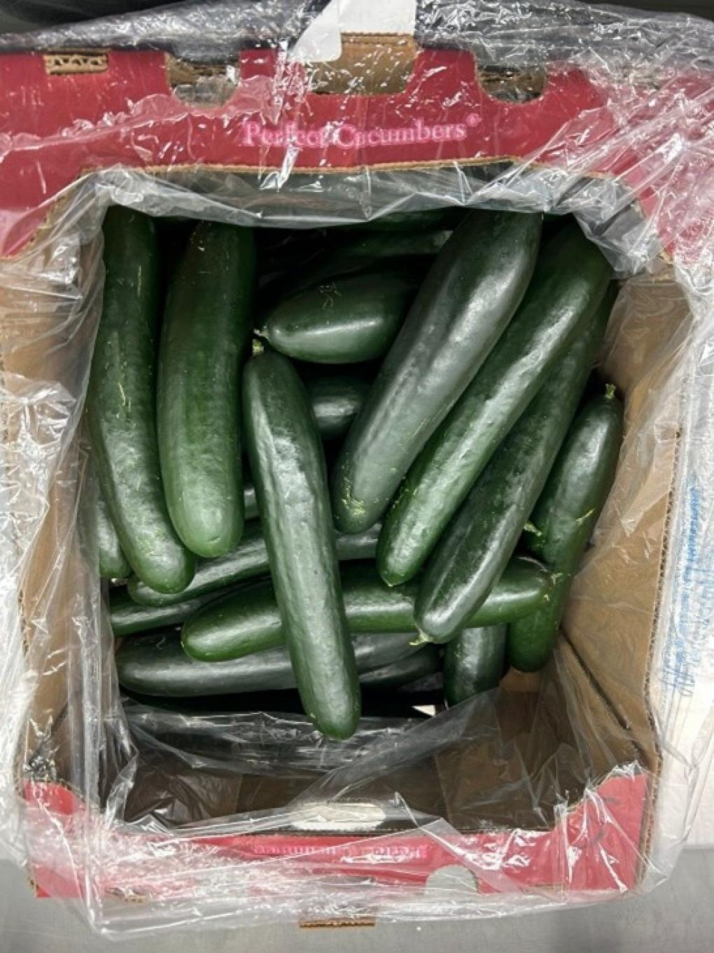 Salmonella Risk Prompts Second Cucumber Recall in BC, Alberta