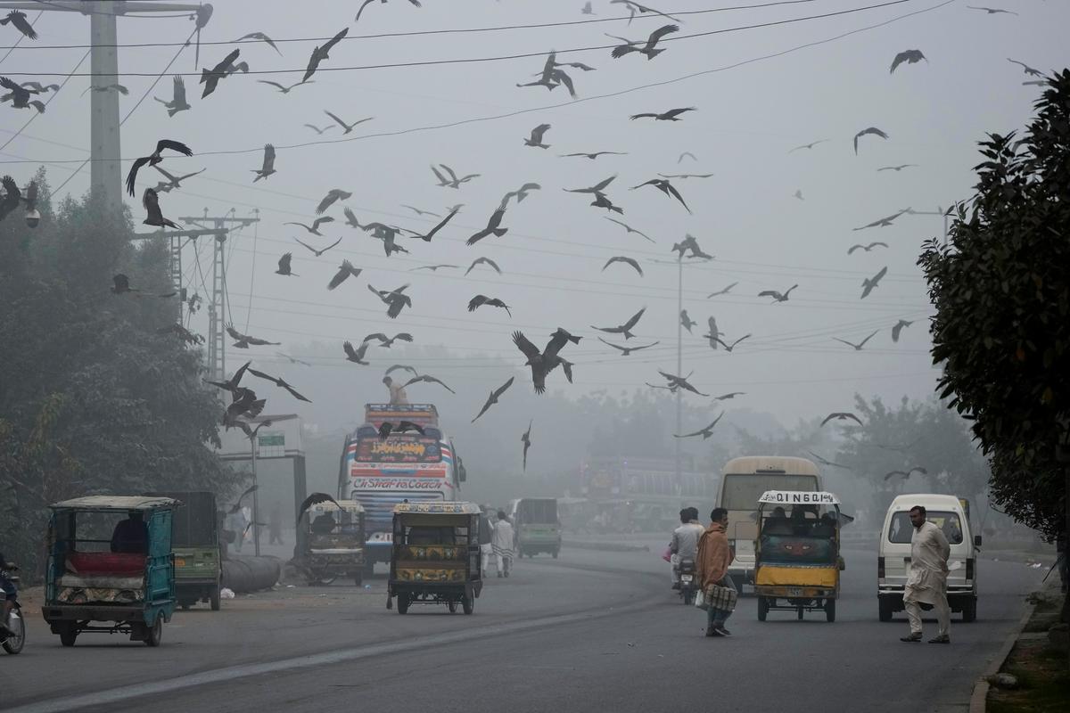 Pakistani Province Declares Health Emergency Due to Smog and Locks Down 2 Cities
