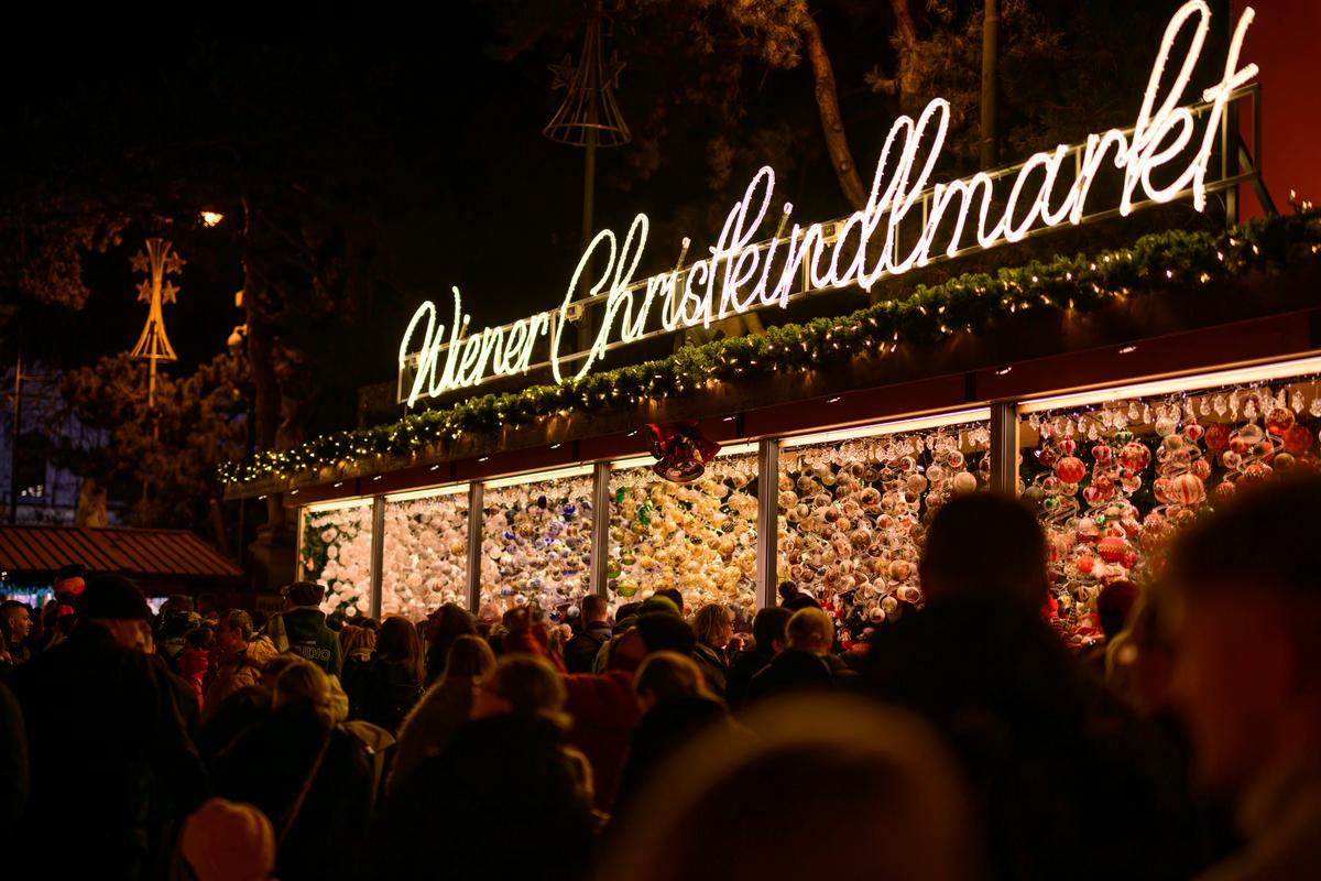 Lighting of Vienna Town Hall Christmas Tree Marks Start of Yuletide Season in Austrian Capital
