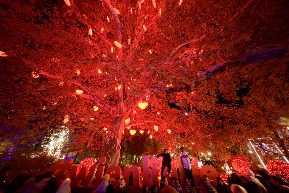 People crowd the Wiener Chritkindlmarkt in front of Vienna's city hall, one of Vienna's most popular Christmas markets, in Vienna, Austria, on Nov. 16, 2024. (Christian Bruna/AP Photo)