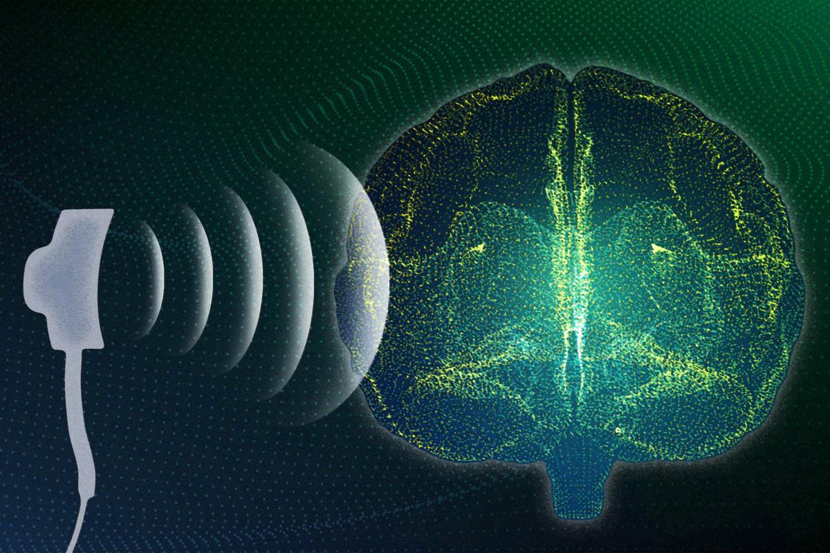Disrupted Brain Waves Hurt Your Mental Health, but There’s a Fix