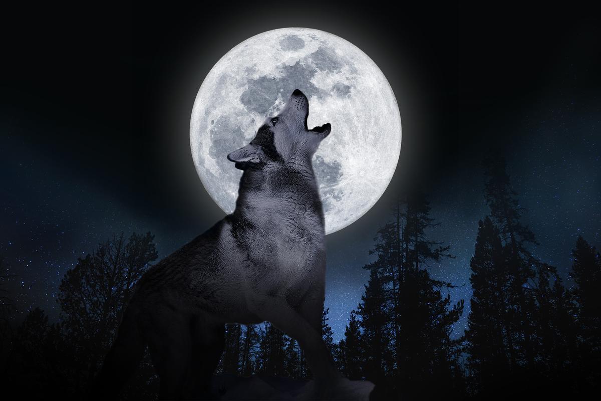 ‘Wolf Moon’ Will Be the First Full Moon of 2025—Here’s What to Know