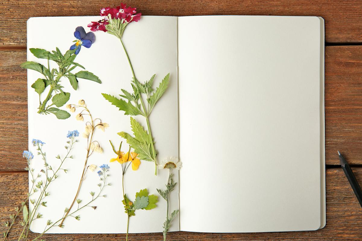 Gardening Books Galore