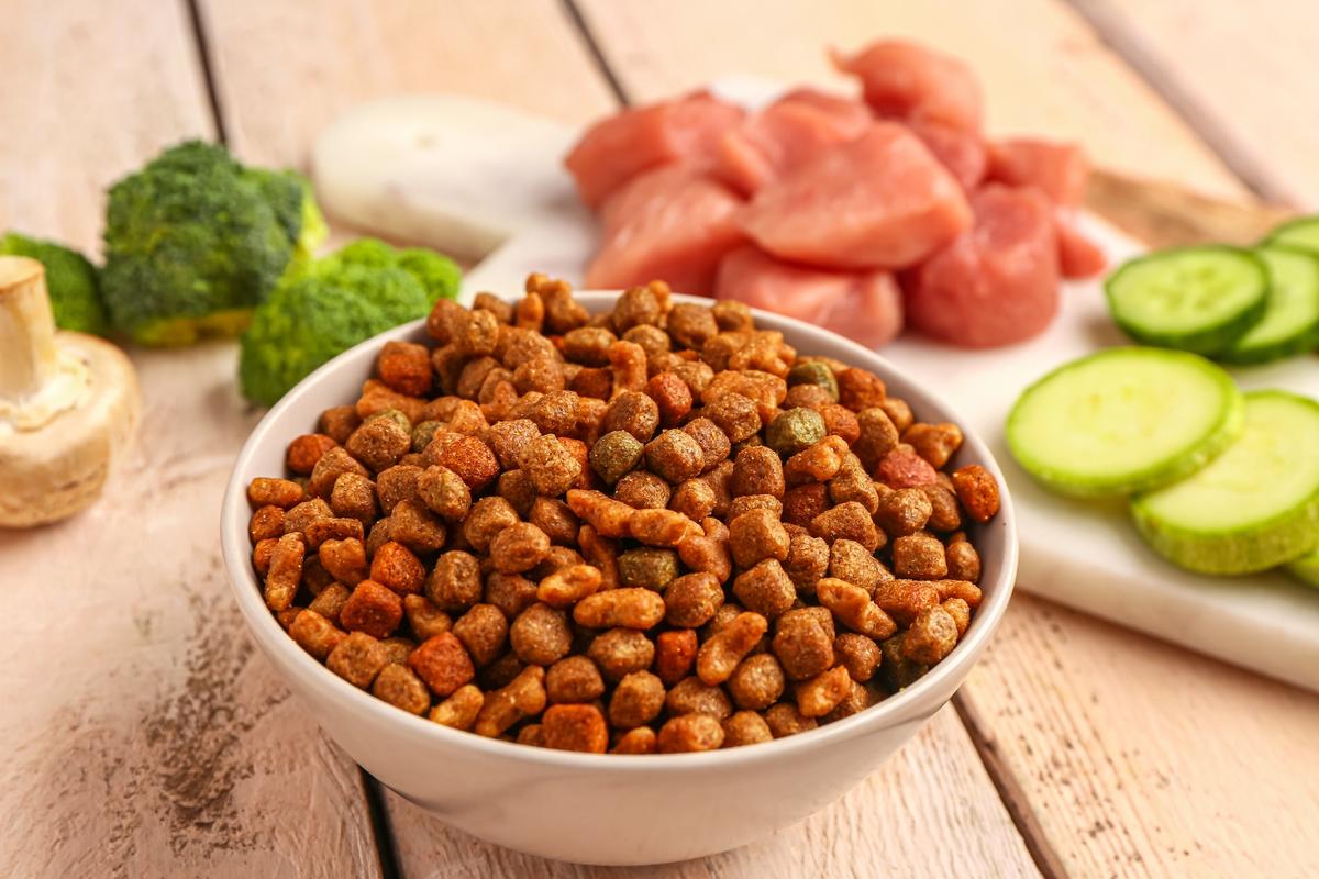 13 Practical Tips to Cut Pet Food Costs Without Sacrificing Quality