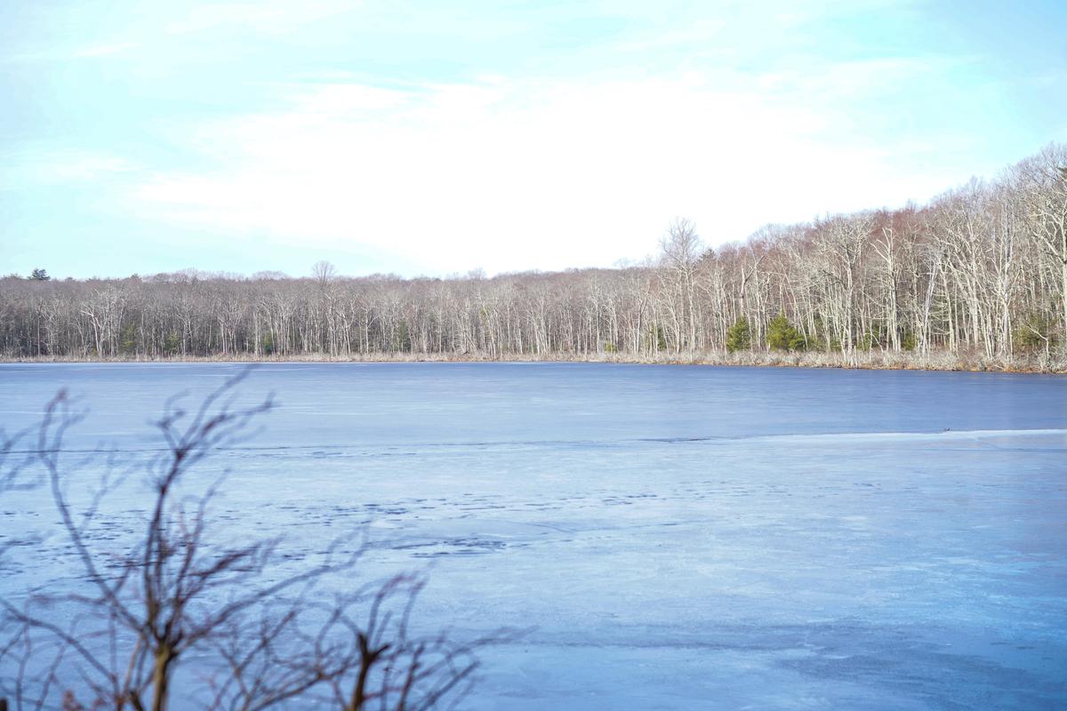 Orange County Land Trust Announces Preservation of 565 Acres of Deerpark Land
