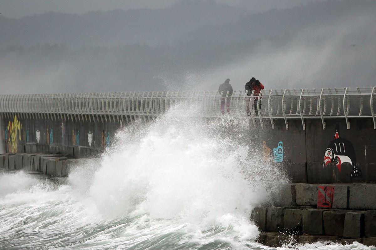 Wild Christmas: BC Ferries Cancels Many Sailings Over ‘Severe’ Forecast