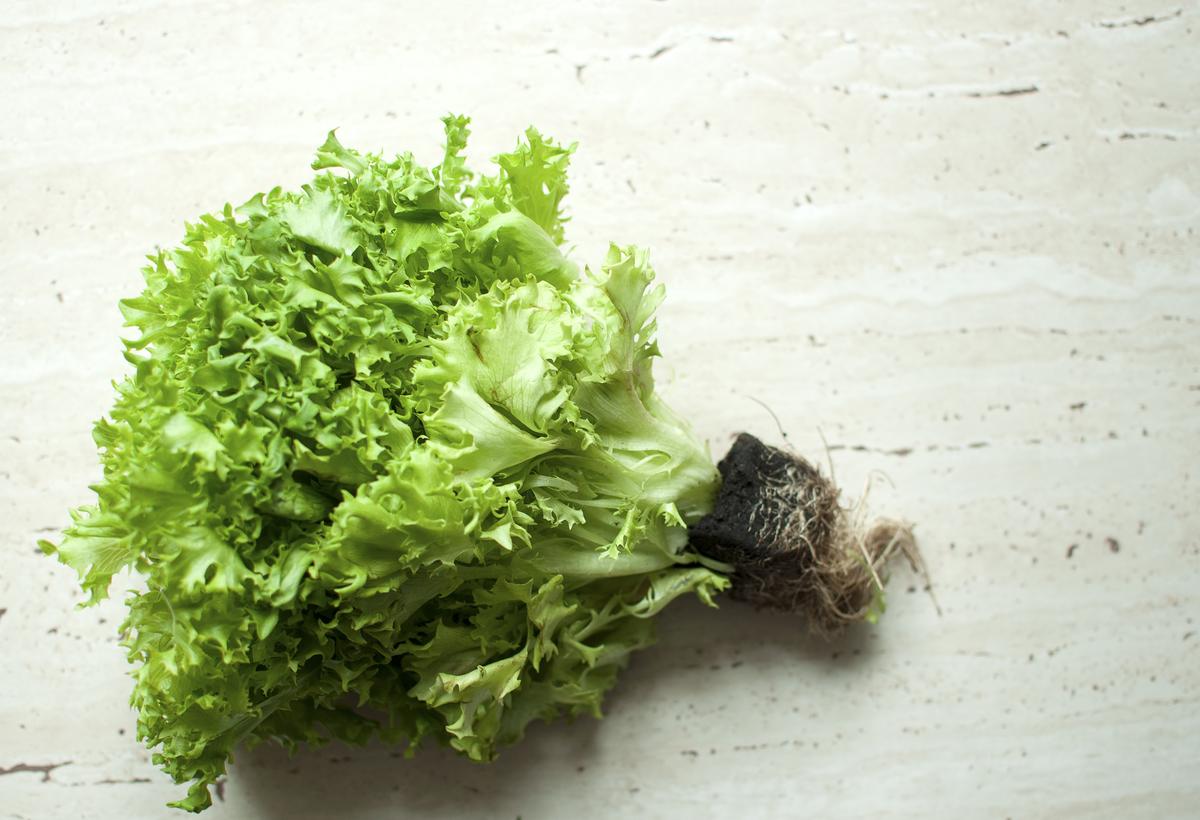 A Wintry Salad That Adds Cheer to Heavier Cold-Weather Meals