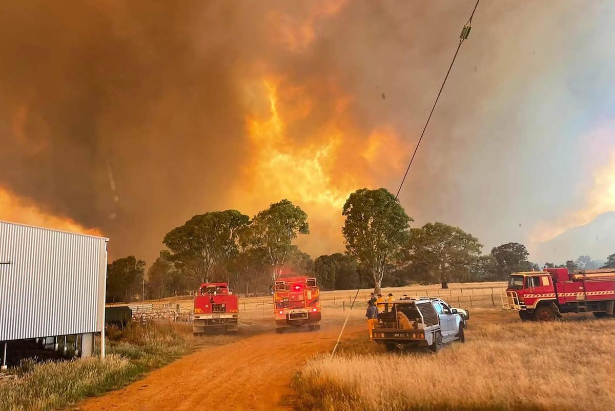 Victoria Offers Financial Aid for Victims of ‘Singapore’ Sized Bushfires