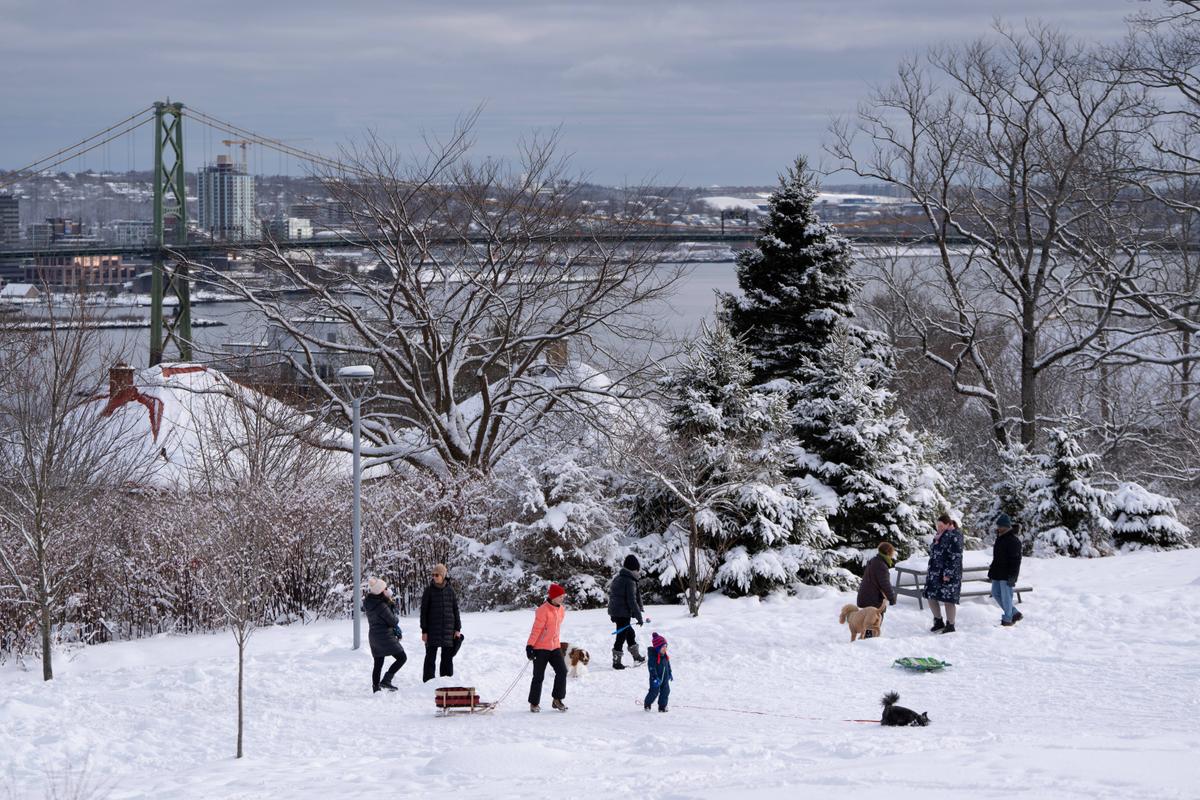 My Wish List for a Safe and Secure Canada in 2025