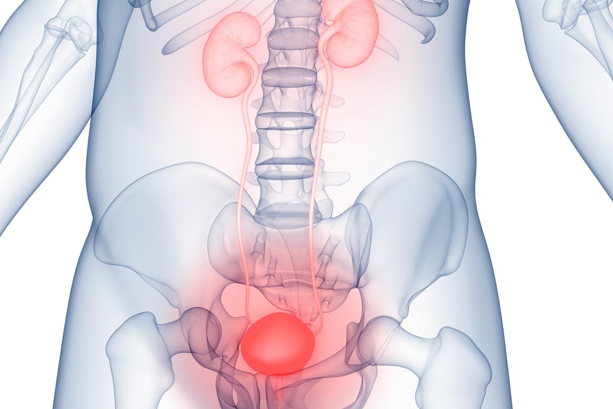 Why Holding In Urine Could Damage Your Bladder, Doctors Warn