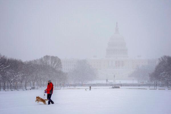 A person walks his dog in view of the Capitol during a winter snow storm in Washington, on Jan. 6, 2025. (Matt Rourke/AP Photo)