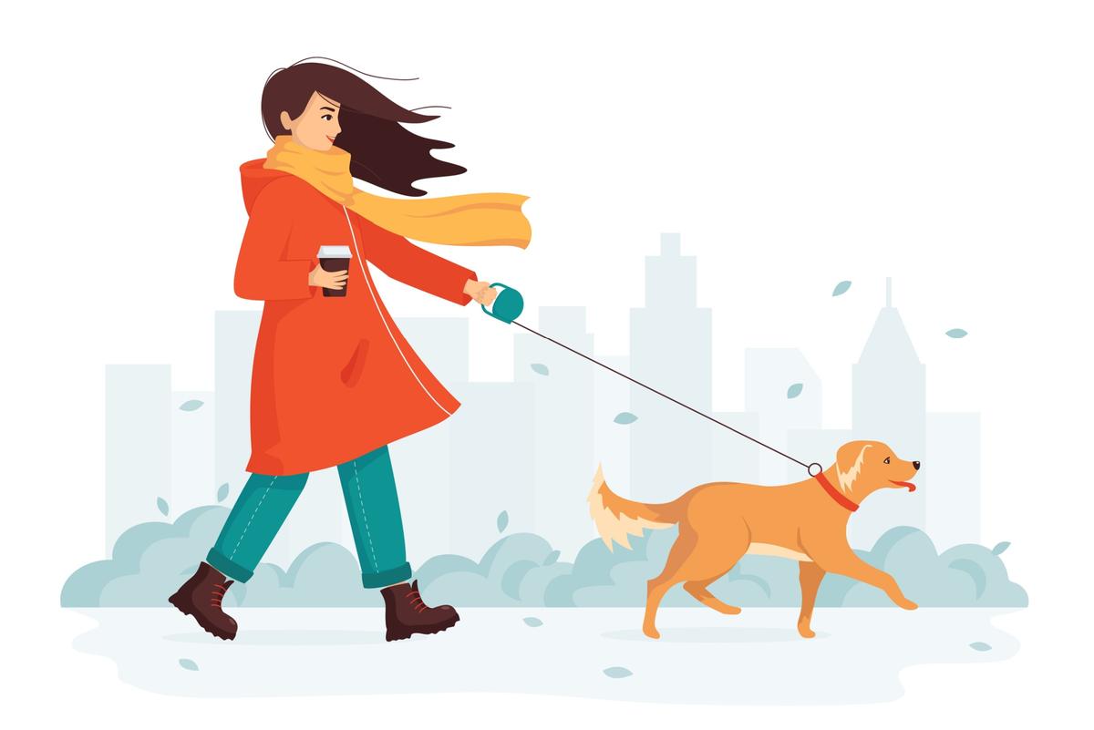 My Dog Walked Me Through COVID Into Better Habits