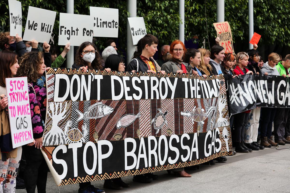 Environmental Law Group Could Lose Charitable Status for ‘Confected Evidence’