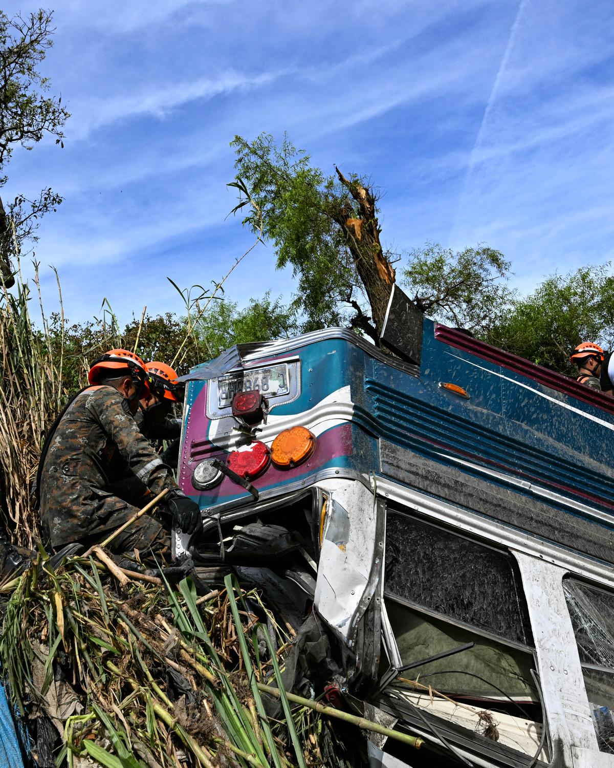 Day in Photos: Bus Crash in Guatemala, Bushfire in Argentina, and Dog Show in New York