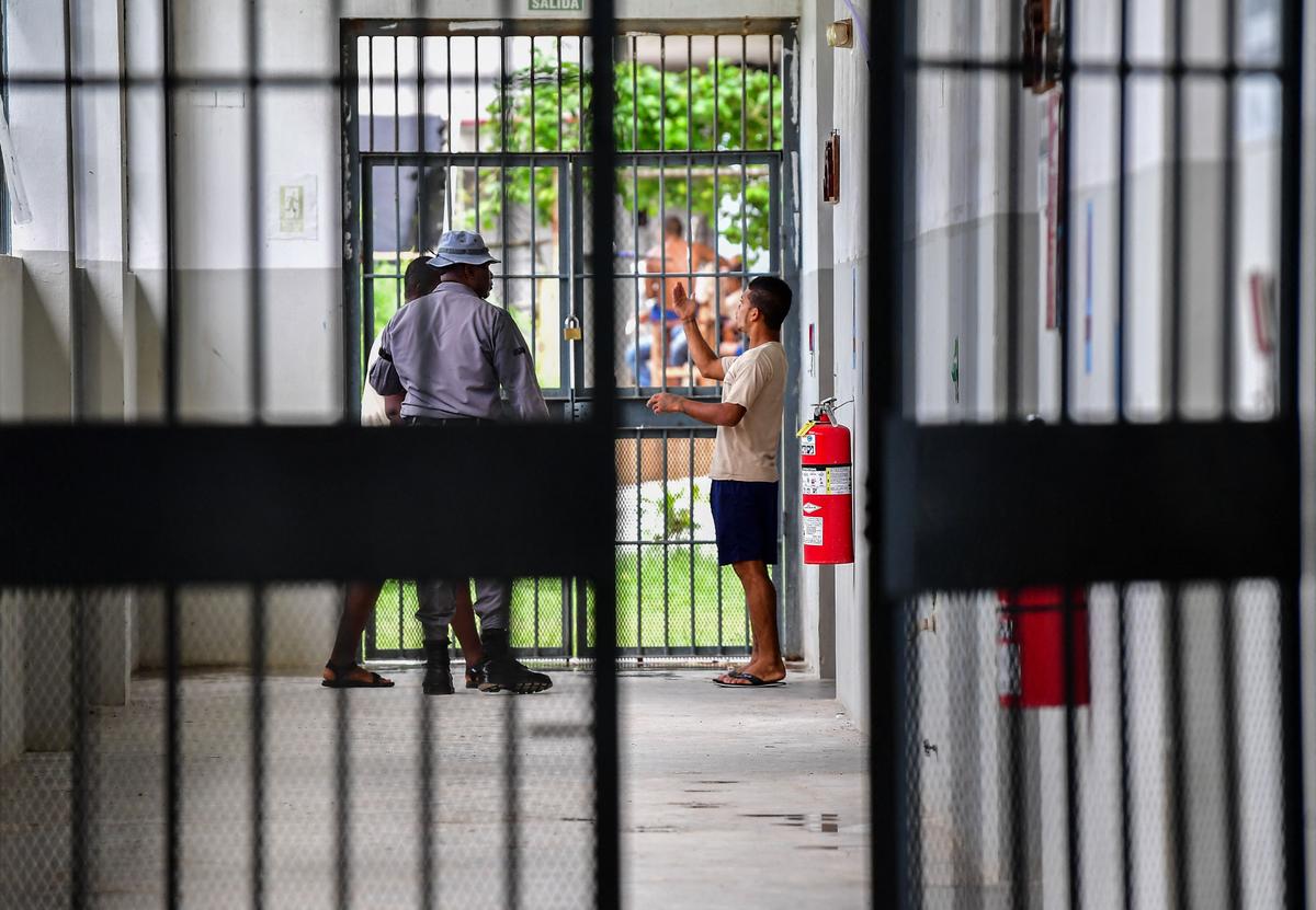 8 in 10 Australian Children Released From Detention Reoffend Within a Year: Charity CEO