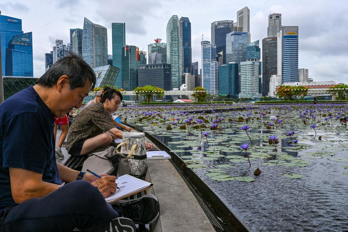 China Was Never Singapore at Scale