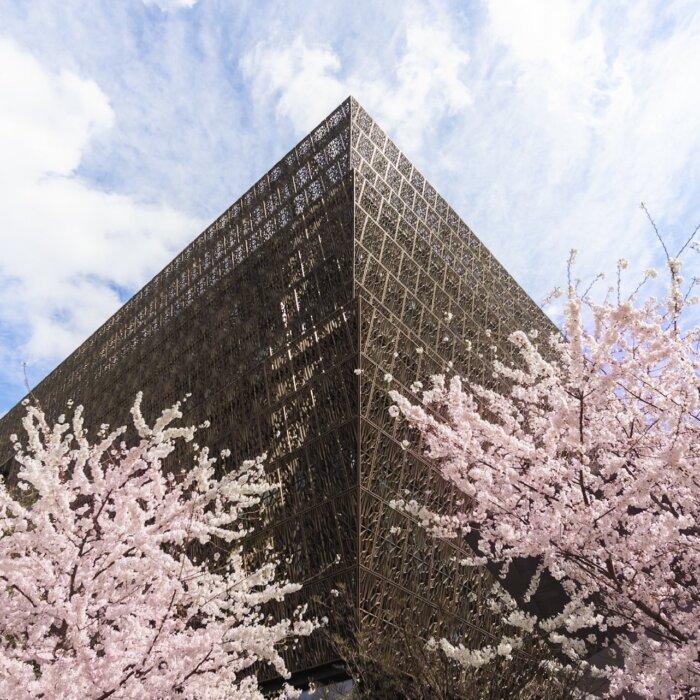 The Epoch Times