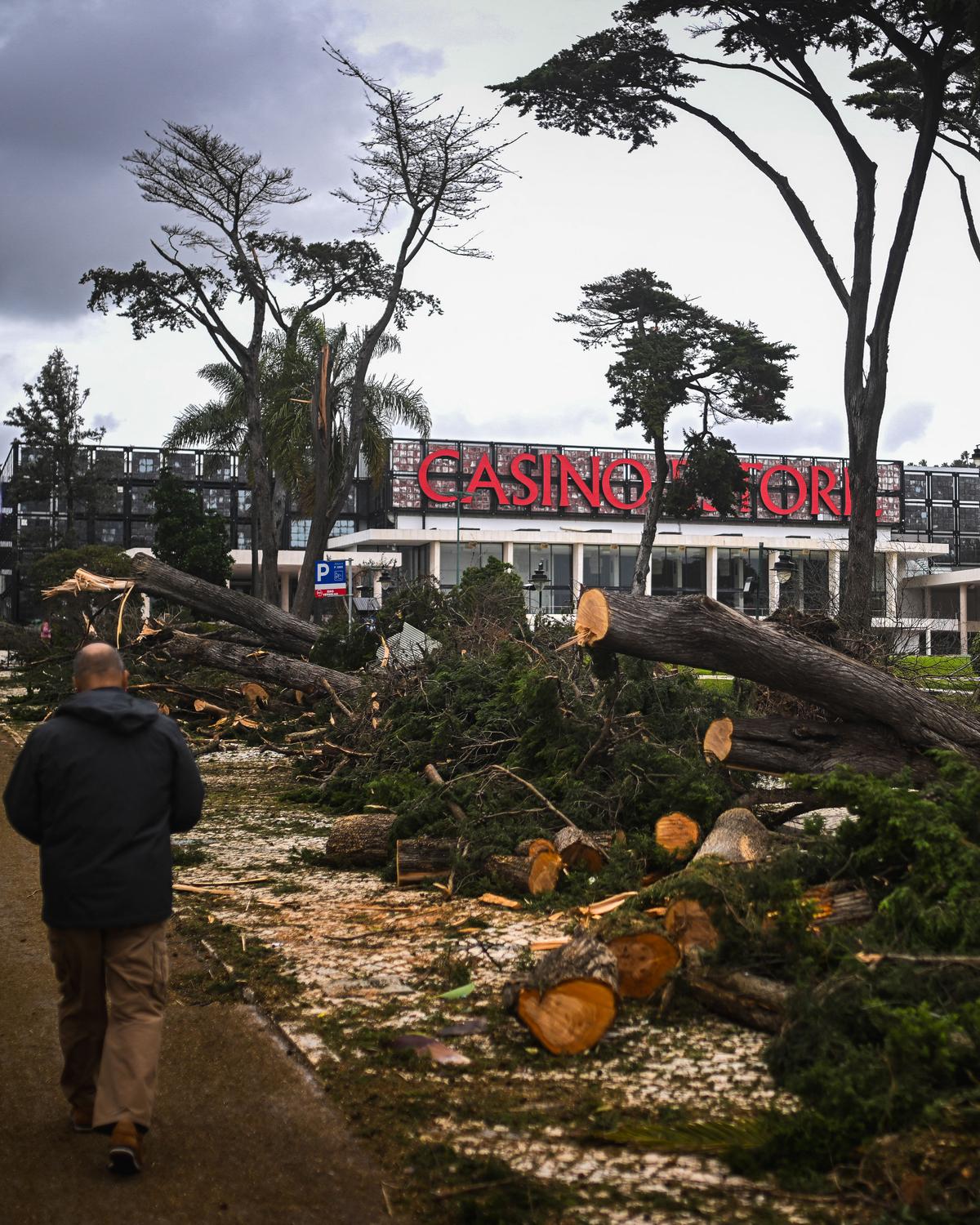 Day in Photos: Storm Martinho in Portugal, Suspension Bridge Collapses in Ecuador, and Basalt Columns in Ireland