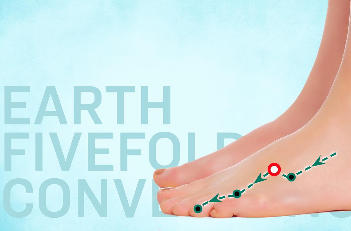 Di Wu Hui: Can an Acupoint on Your Foot Regulate Your Upper Body?