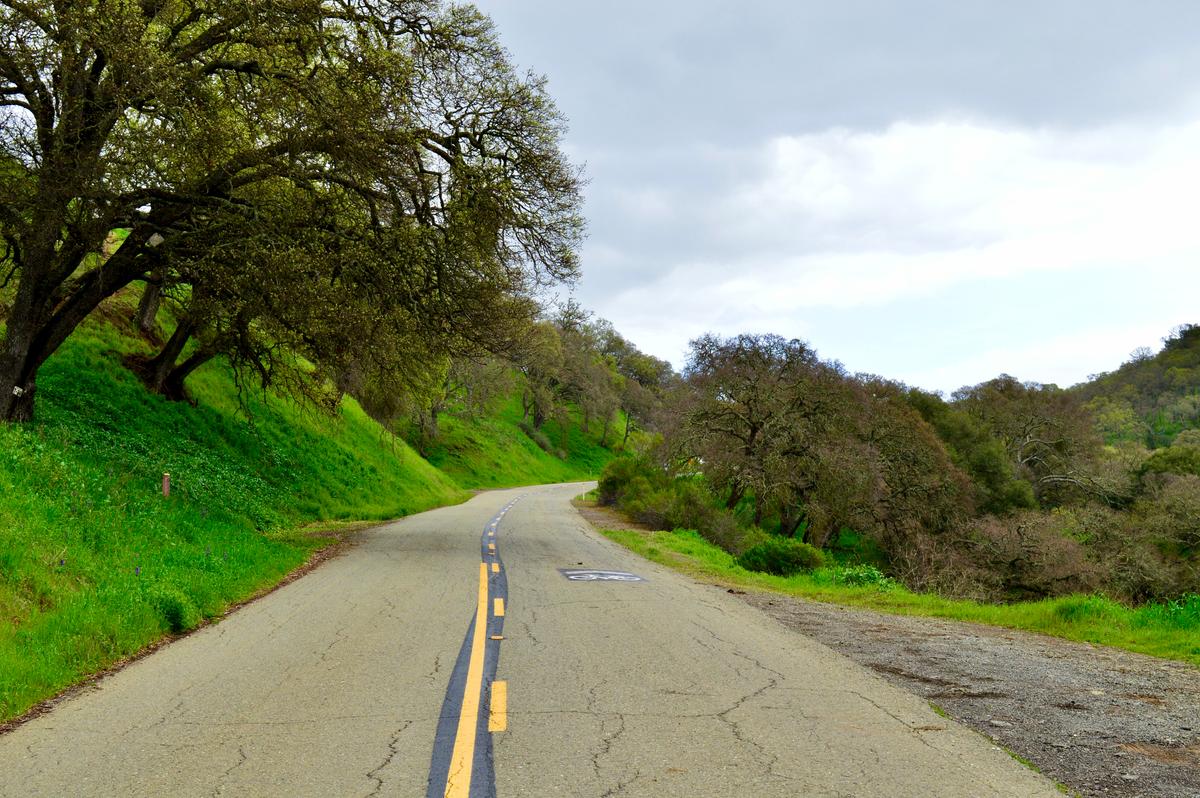 4 Scenic Drives in the San Francisco Bay Area
