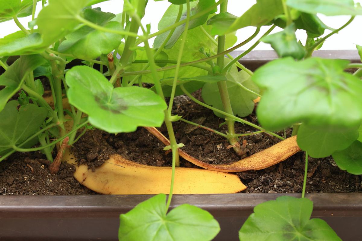 Bad Advice About Garden Soil