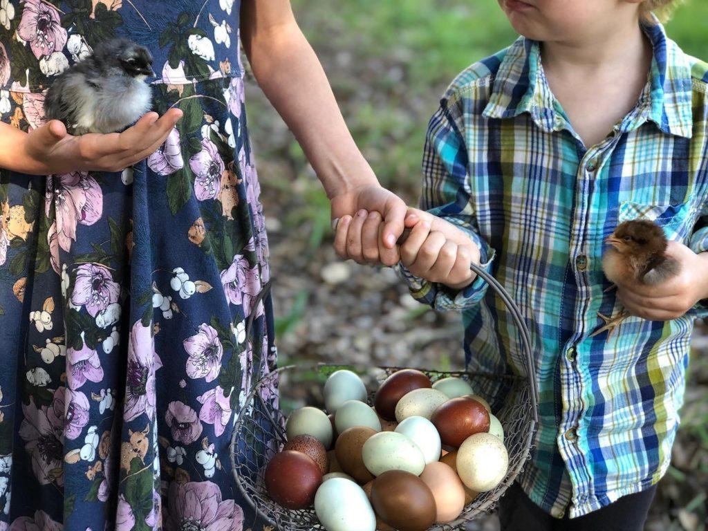 California Chicken Farmer Advocates for Humane Business Practice