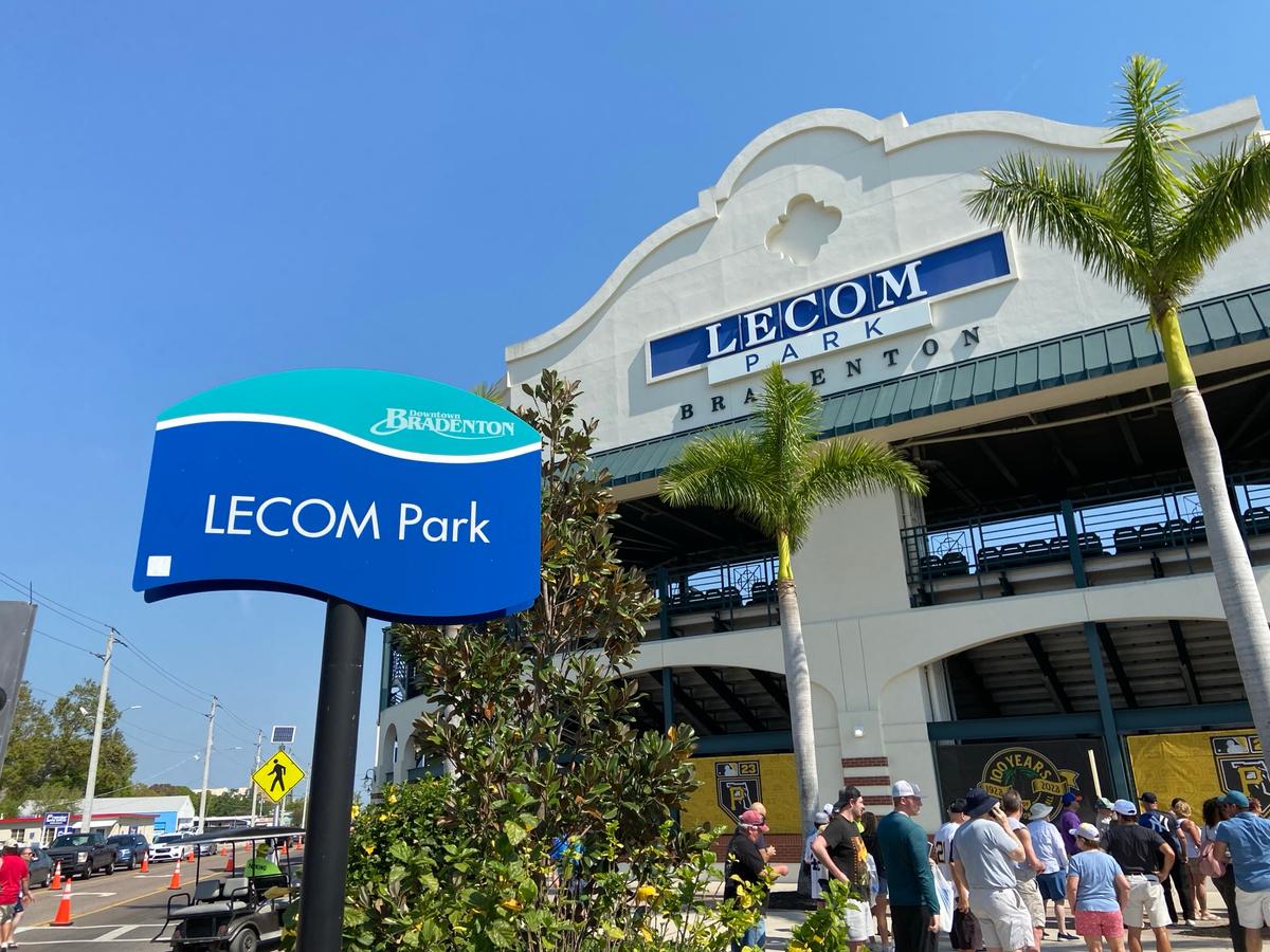 Baseball in the Bushes—Building Careers in the Minor Leagues
