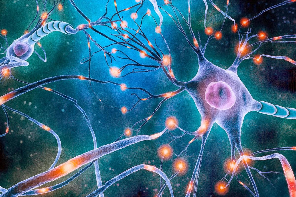 Parkinson’s Disease Is Linked to Lack of Dopamine—Here’s How to Boost It