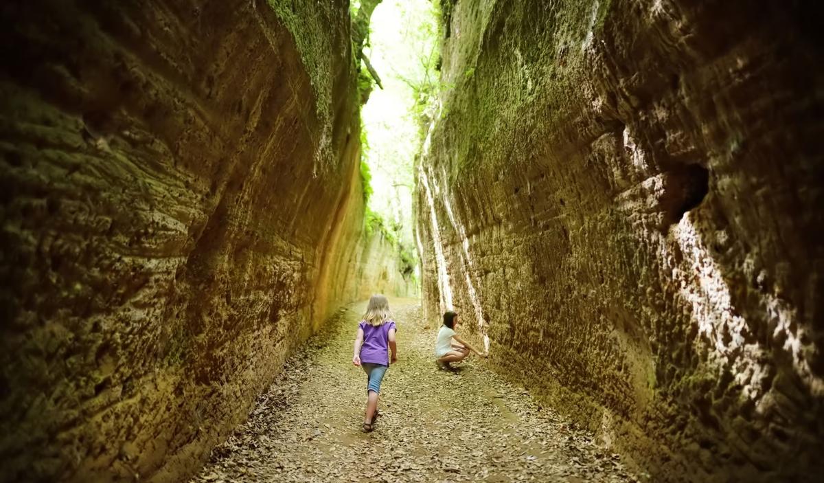 Generational Dialogue in the Age of Machines