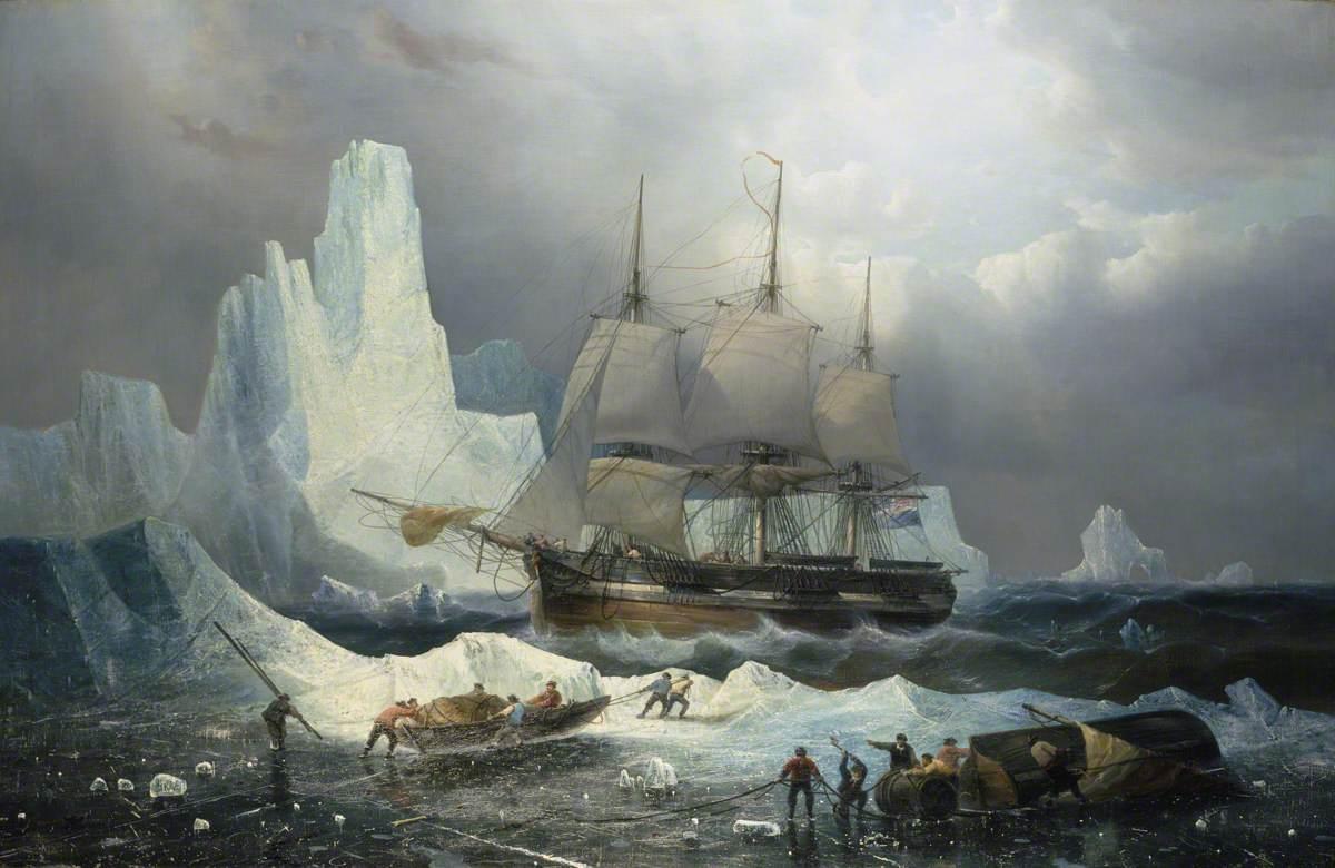 The Lost Franklin Expedition: Losses and Gains