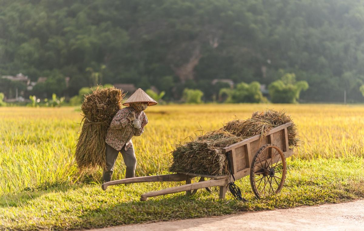 The Root of Totalitarianism Is Social Engineering