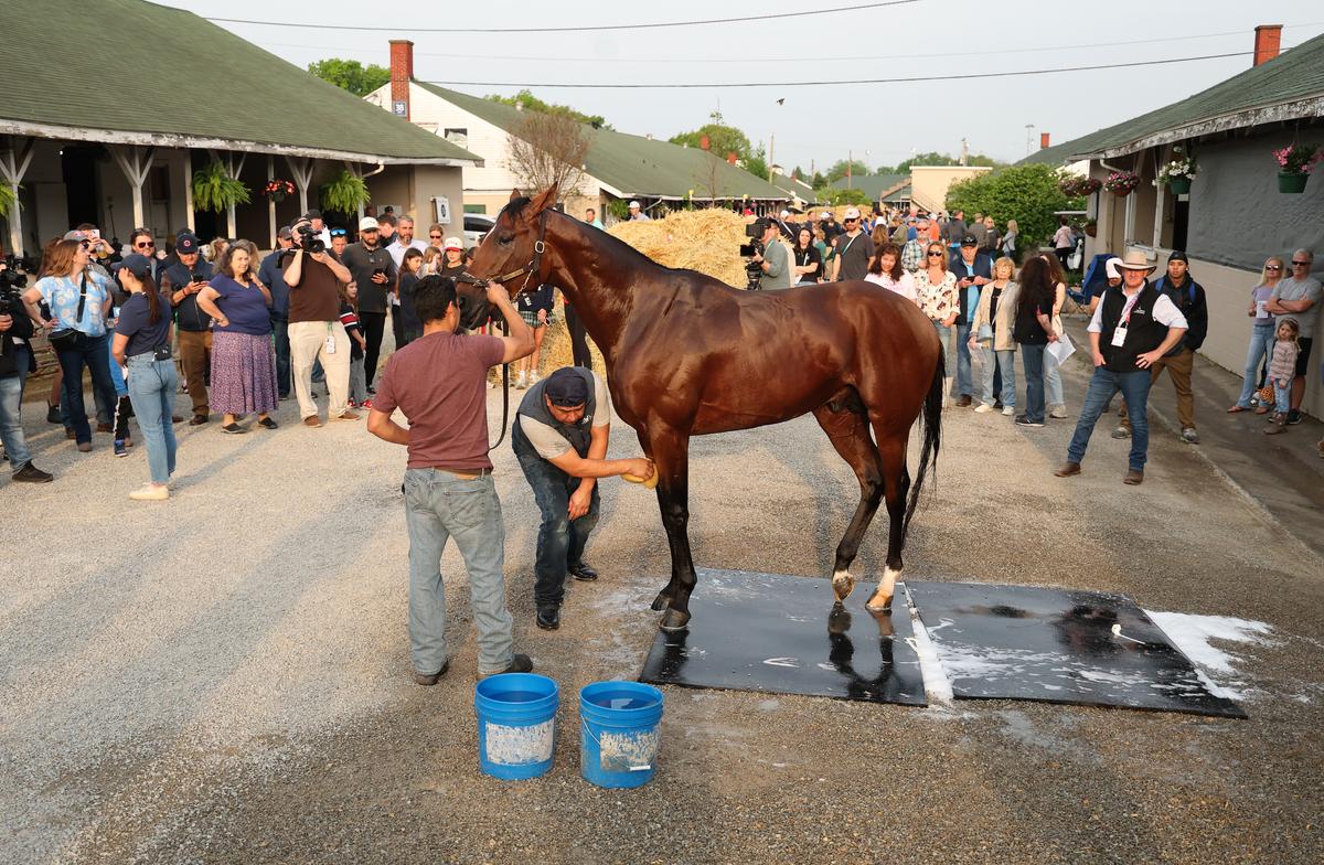 2025 Kentucky Derby Preview: Favorites, Longshots, and Storylines to Know