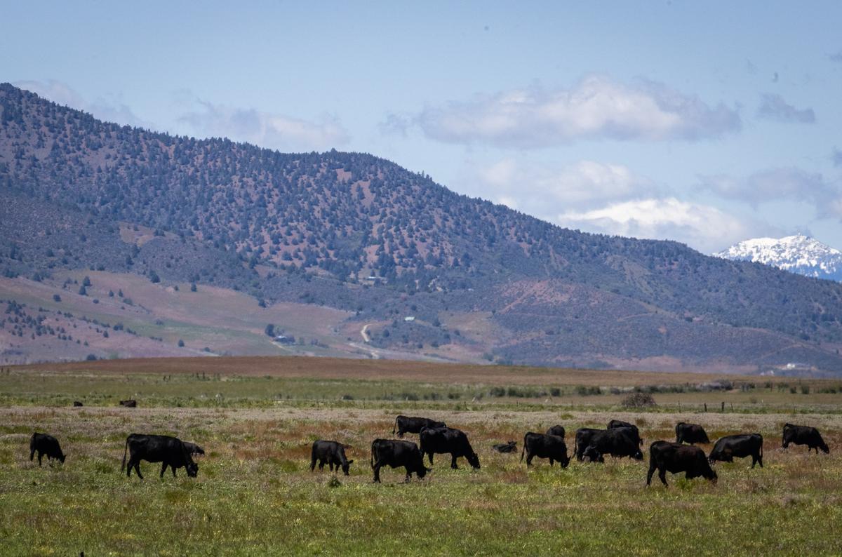 What California Lost at Point Reyes