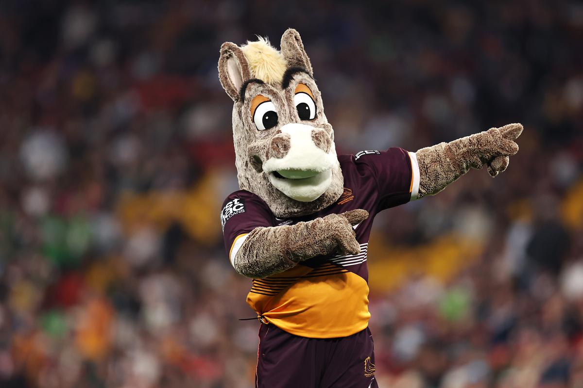 PETA Calls on Brisbane Broncos to Be Rebranded the ‘Boomerangs’