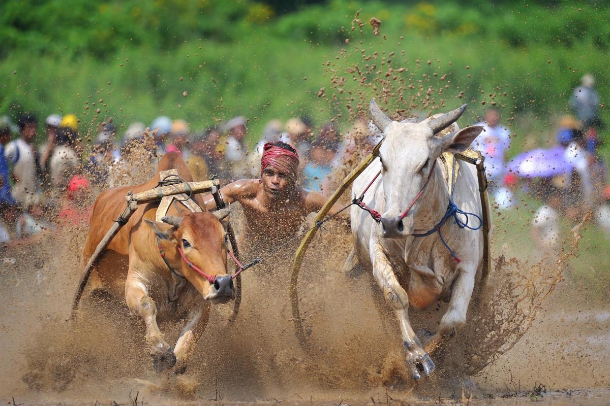 Good Sports: NTD Announces Sports Photography Award
