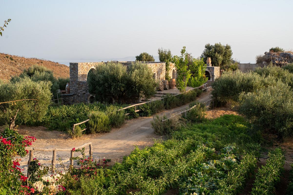 Peskesi Farm covers 24 acres and grows more than 240 varieties of fruit and vegetables. (George Dryjohn/Peskesi)